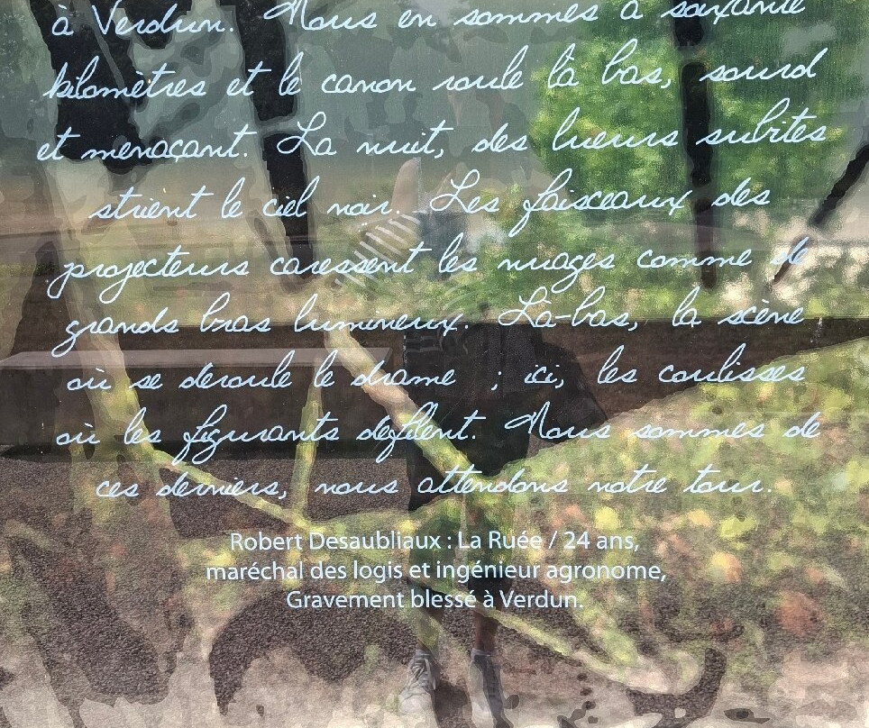 Citadelle Souterraine De Verdun-凡尔登必去景点