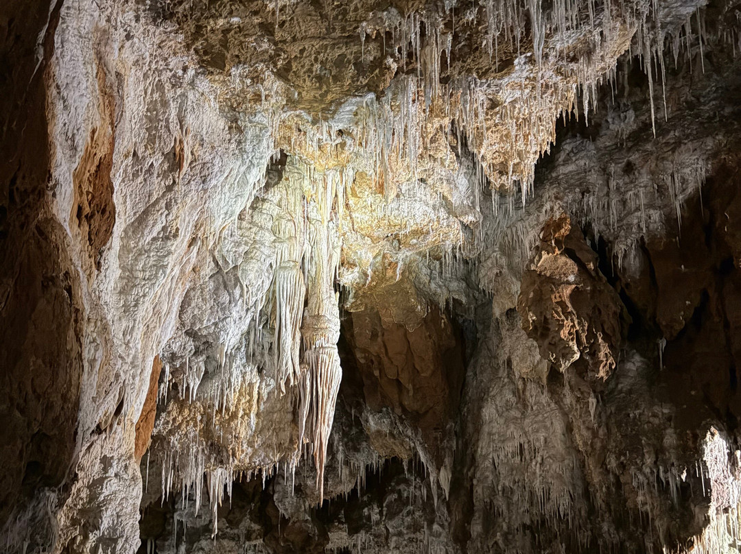 Grotte de Clamouse-Saint-Jean-de-Fos必去景点