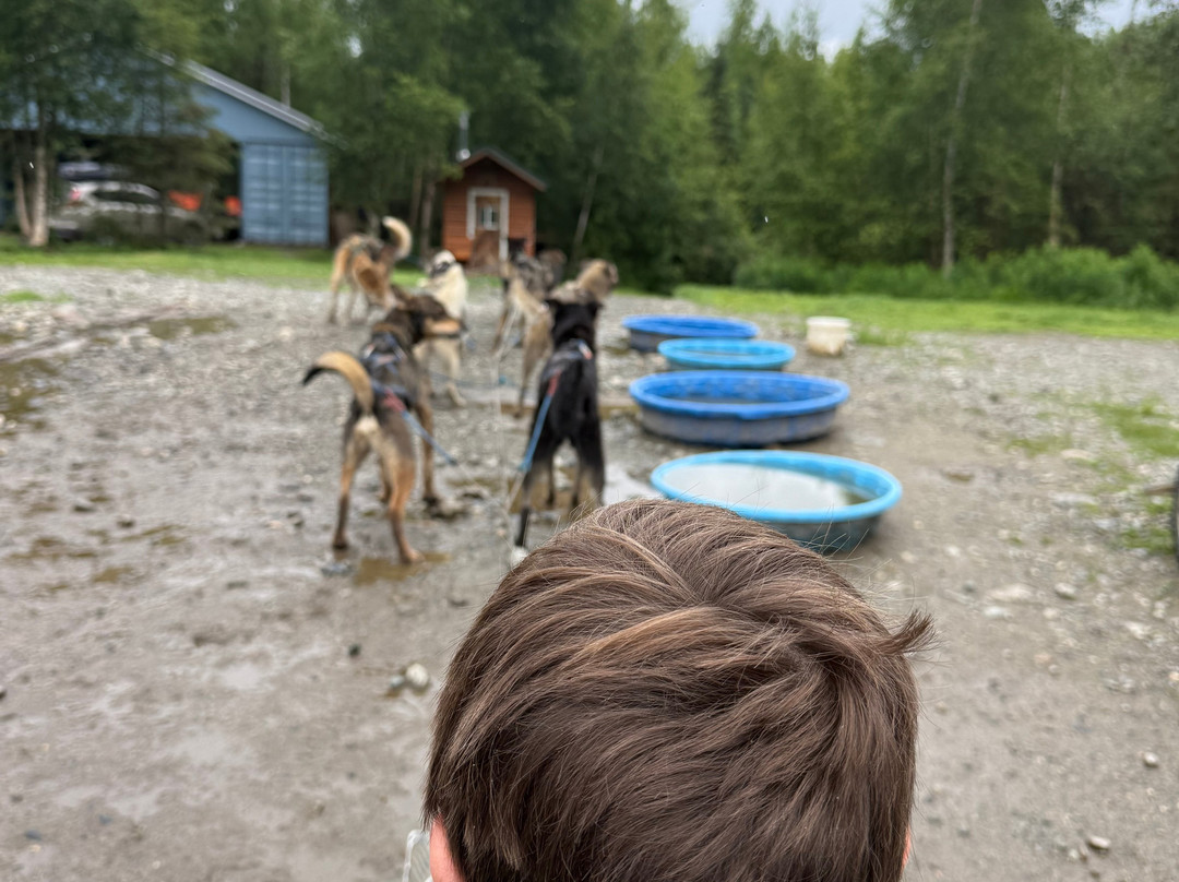 Alaskan Husky Adventures-Willow必去景点