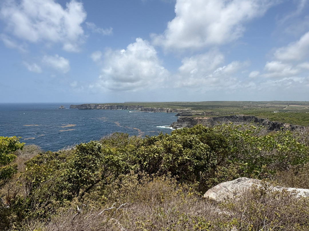 Pointe de la Grande Vigie-Anse-Bertrand必去景点