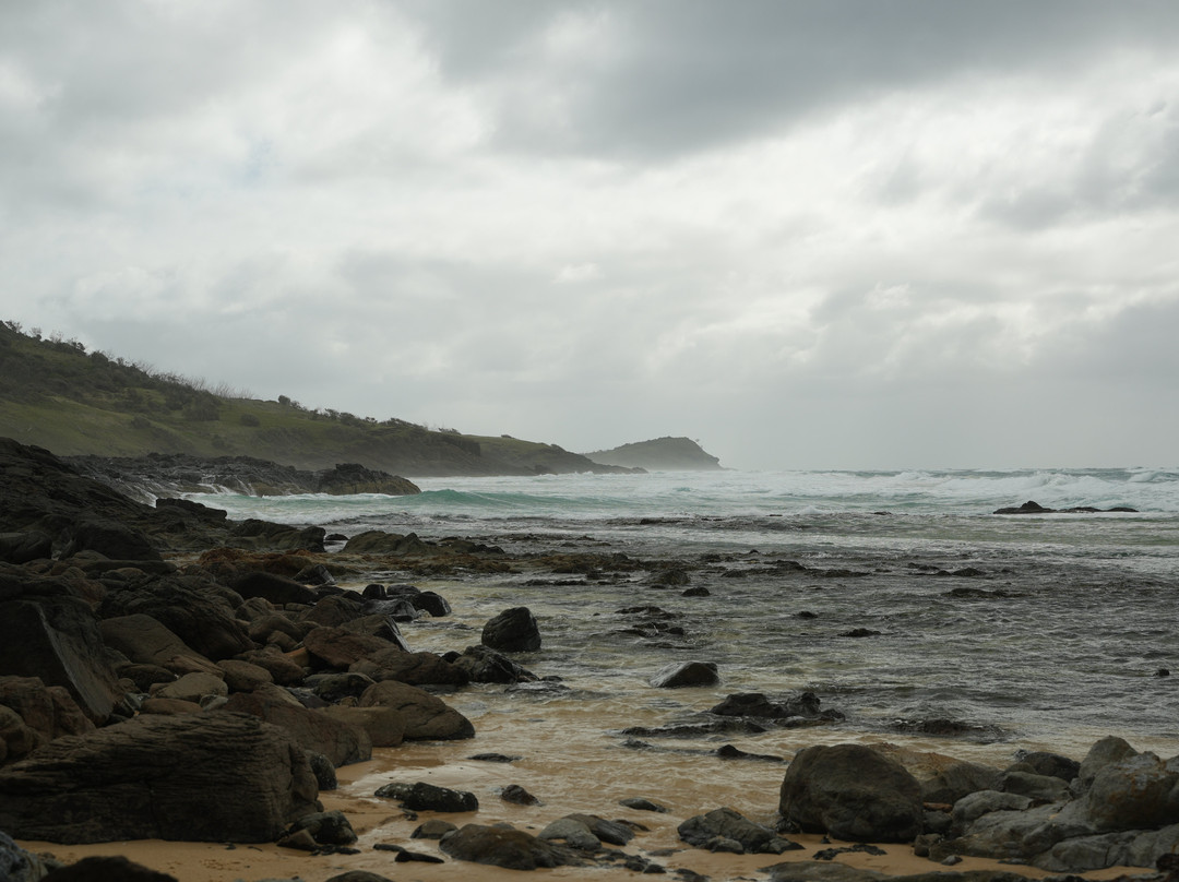 Moondoggie Beach & Bush Tours-Agnes Water必去景点