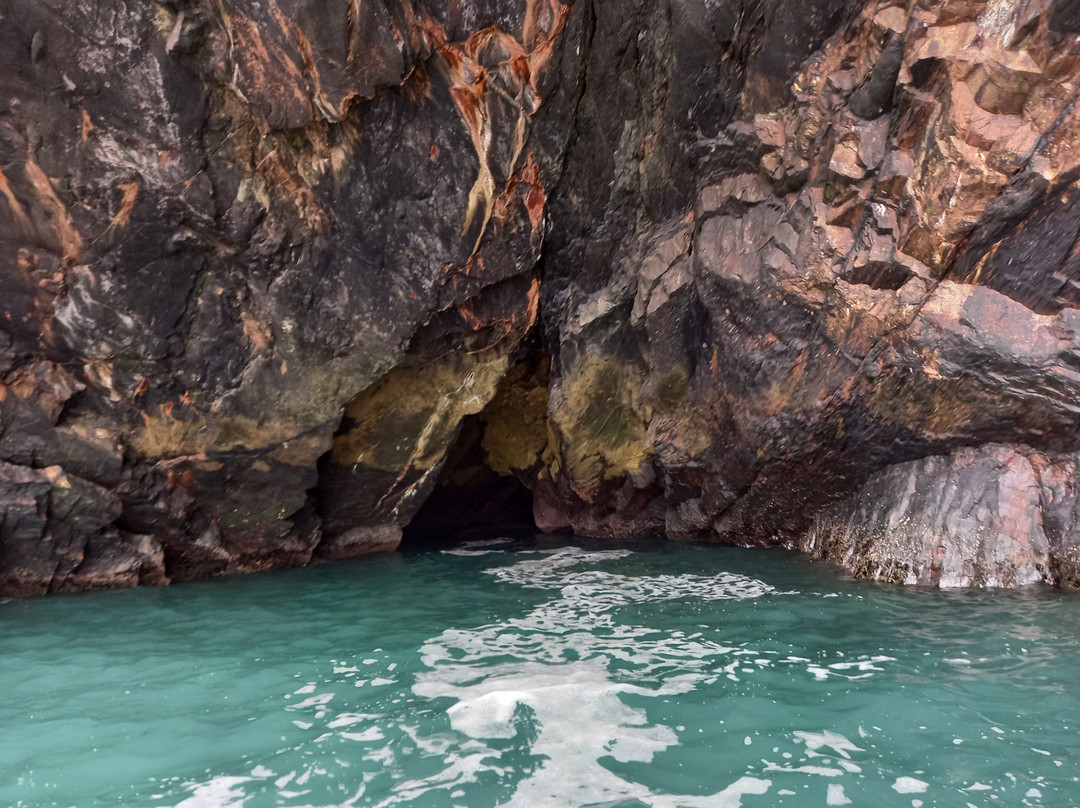 A Bay To Remember Wildlife Boat Trips-St. Dogmaels必去景点