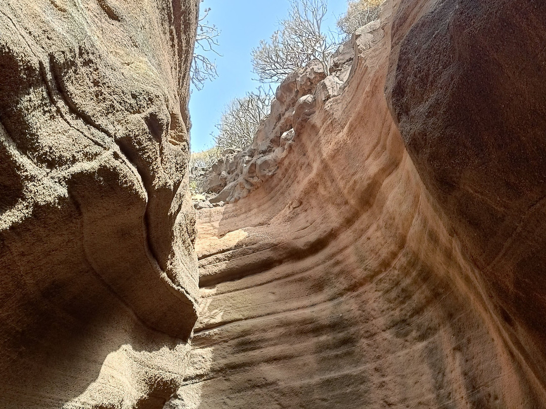 Barranco de Las Vacas-阿古伊梅斯必去景点