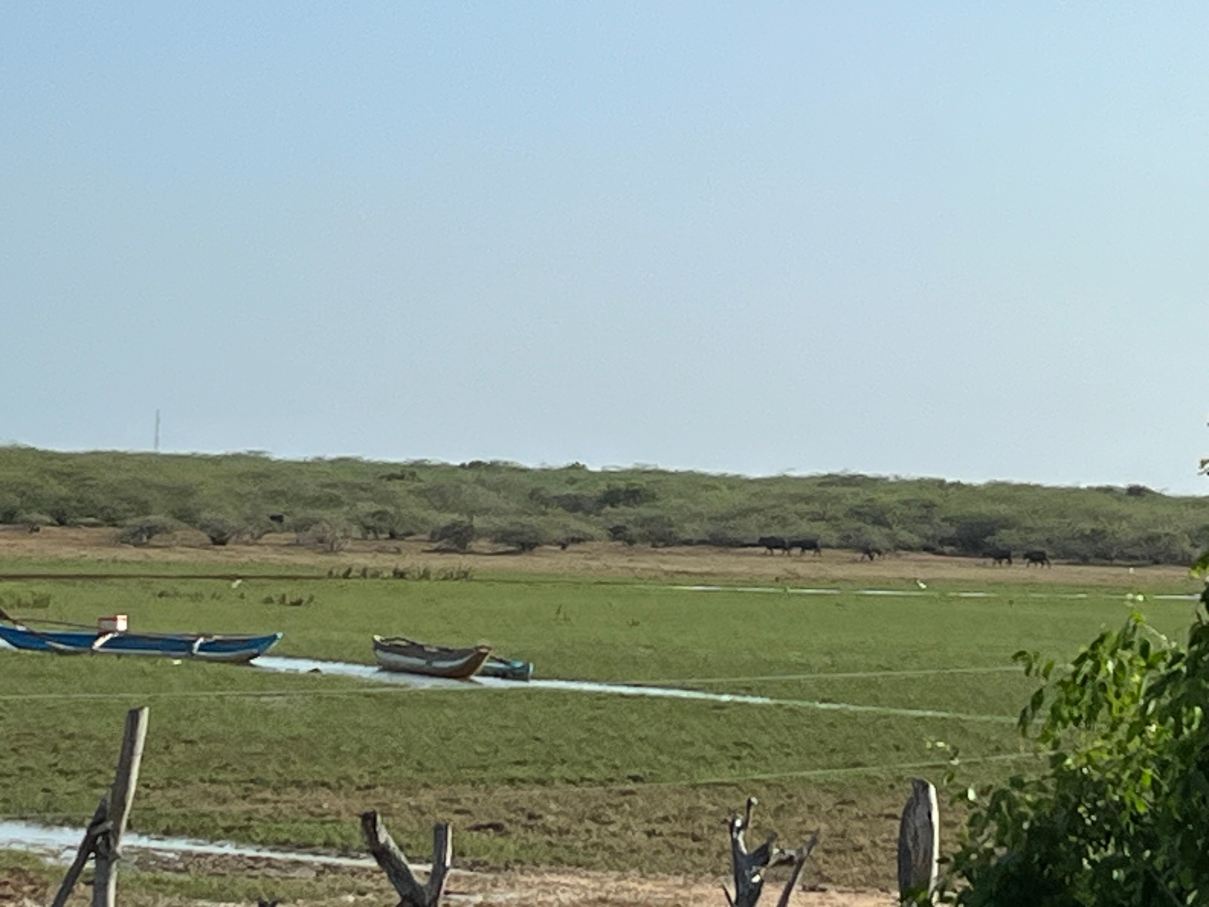 Bundala Flamingo Cotteges-旅行者