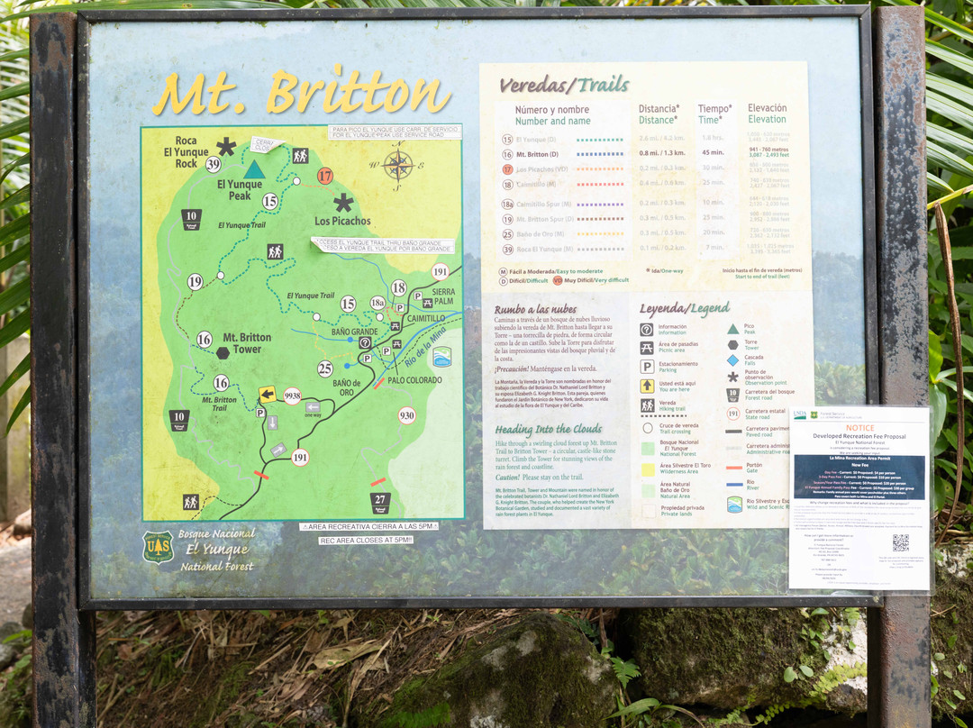 El Yunque National Forest-云盖国家森林公园必去景点