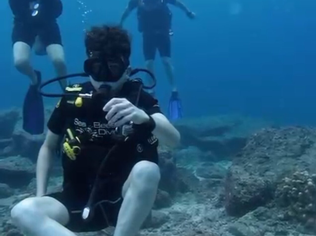 Sea Bees Diving Mai Khao-迈考必去景点