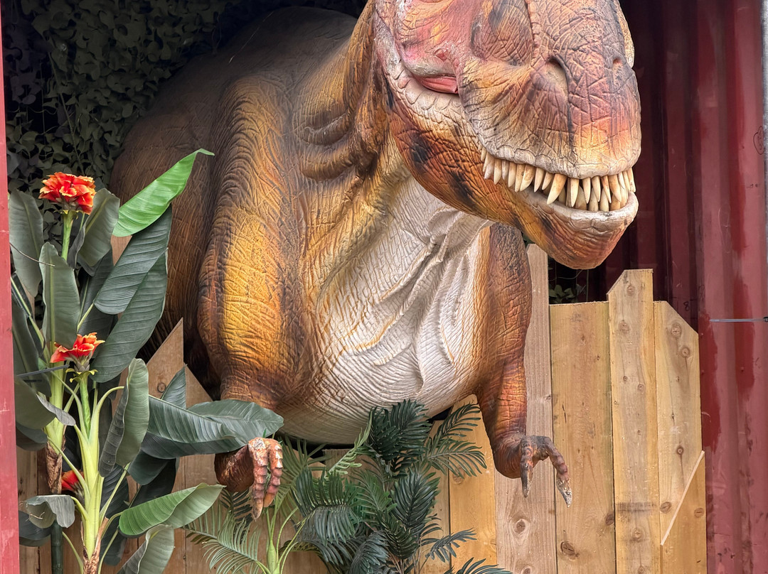 Manorafon Farm Park-Abergele必去景点