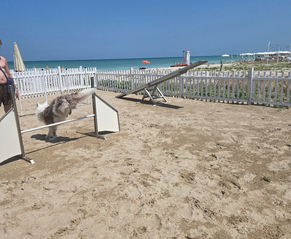 Scoby Doo Beach - Stabilimento Balneare Per Cani-塞尼加利亚必去景点