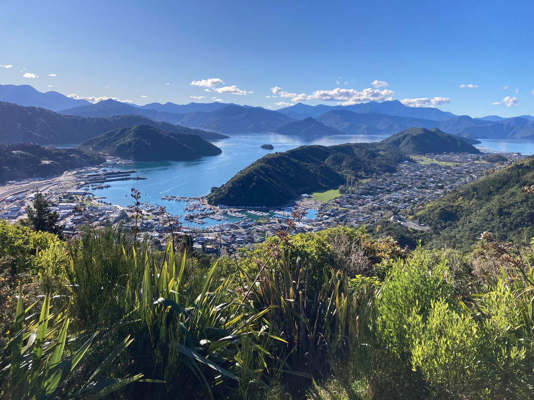 Tirohanga Track-皮克顿必去景点