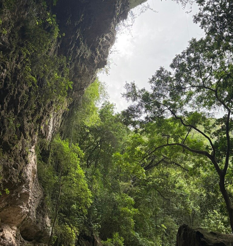 Batey Adventures-Utuado必去景点