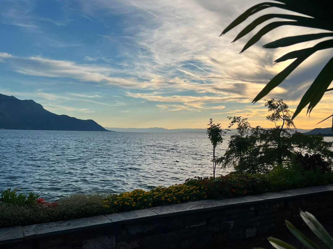 弗勒力湖岸步行区-蒙特勒必去景点