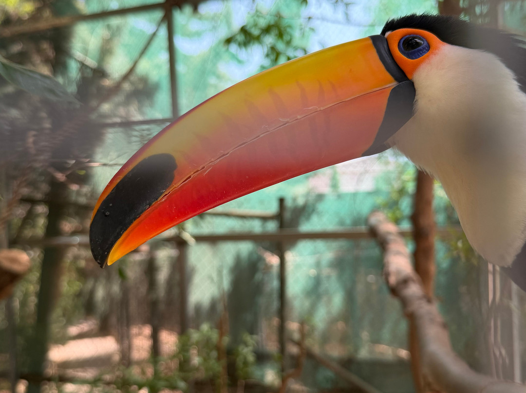 Amazonas Park-Kourounes必去景点