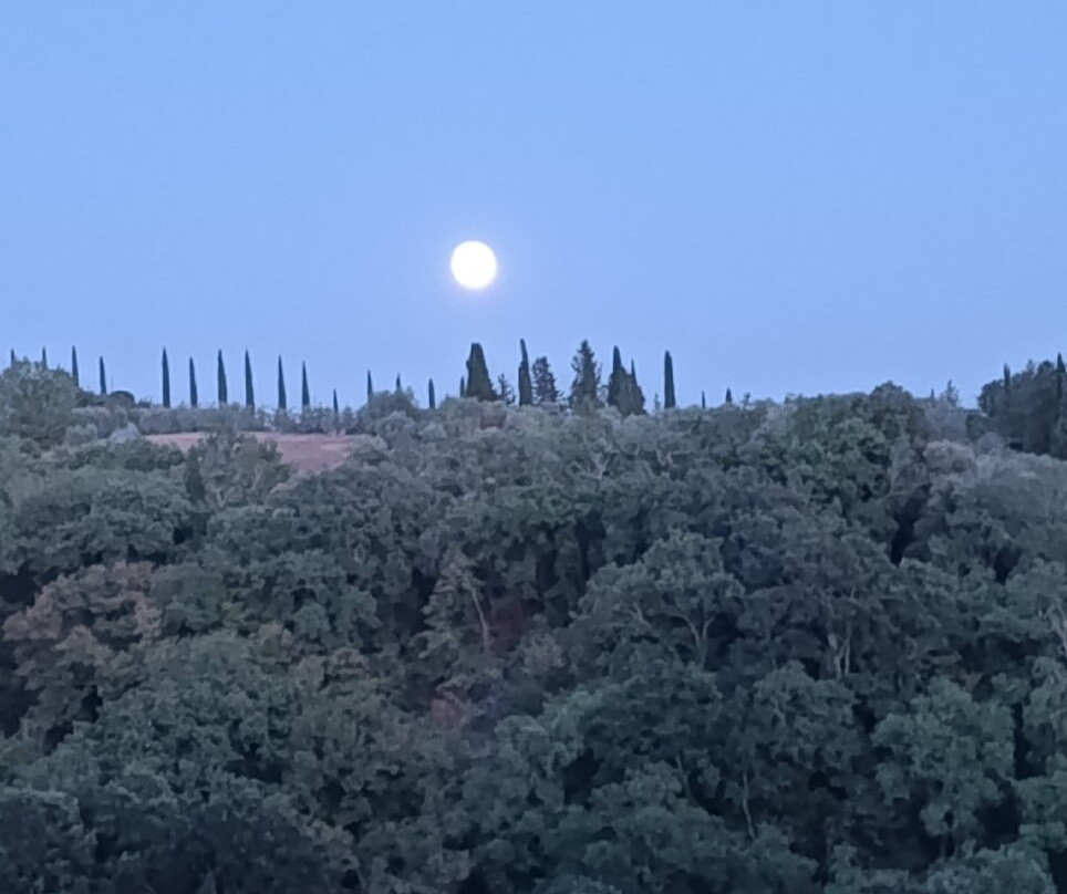 Abbazia di Monte Oliveto Maggiore-阿夏诺必去景点