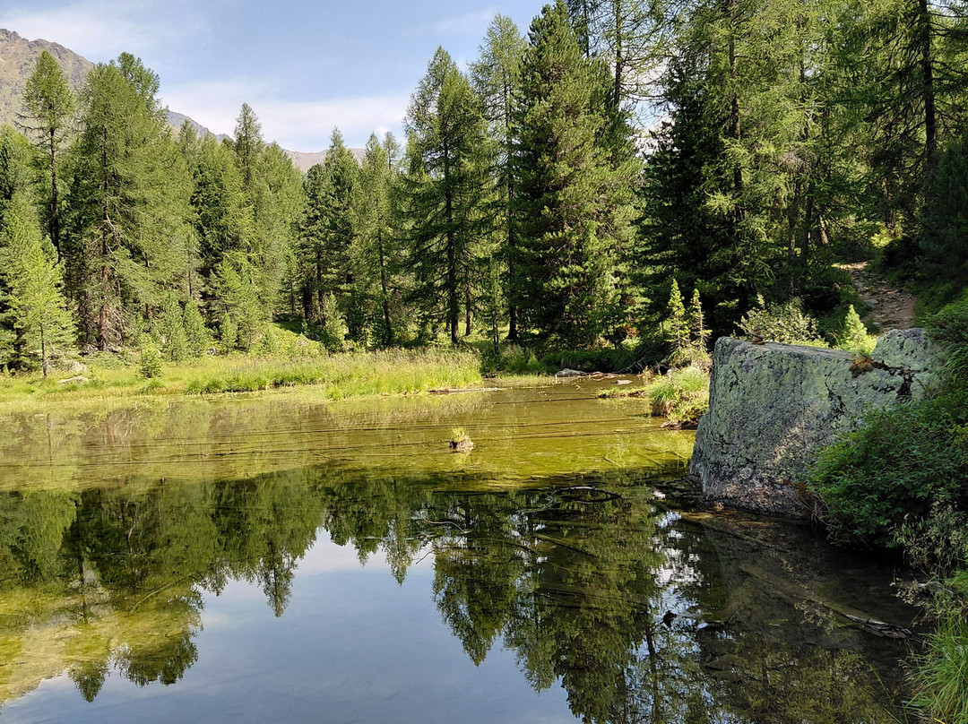 Lago Di Saoseo-Poschiavo必去景点