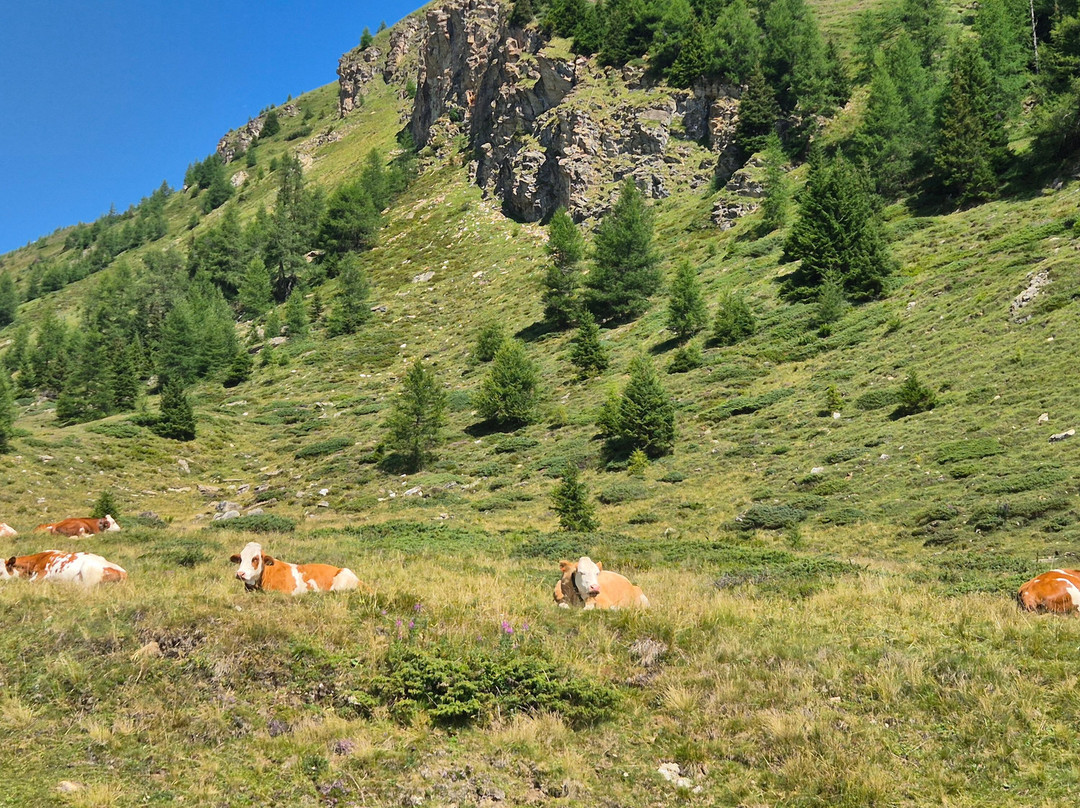 Auszeit-XL Urlaub Mauterndorf