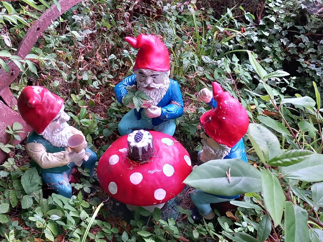 The Gnome Reserve-West Putford必去景点