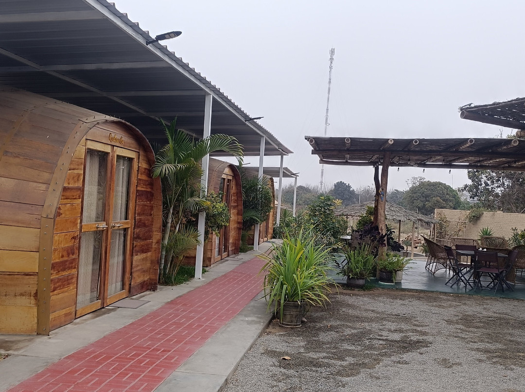 Bodega Y Viñedo Sotelo-伊卡必去景点
