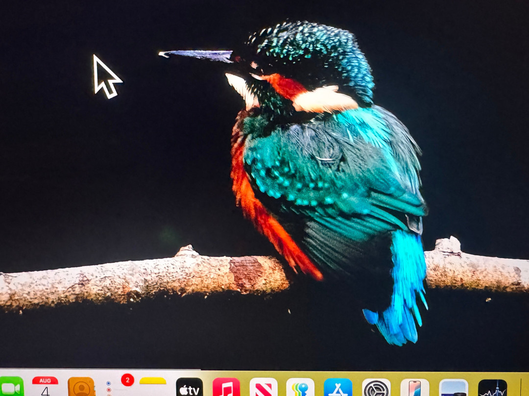 GG Wildlife Experiences Ltd-Goring-on Thames必去景点