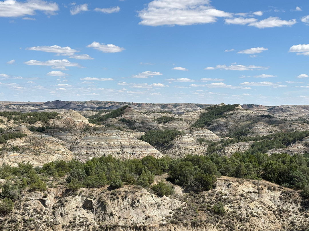 Theodore Roosevelt National Park-Medora必去景点