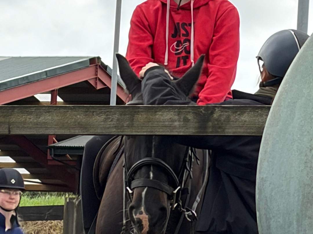 Sheans Horse Farm-Armoy必去景点