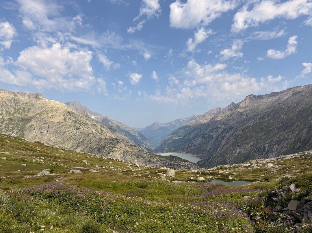 Grimsel Pass-上瓦尔德必去景点
