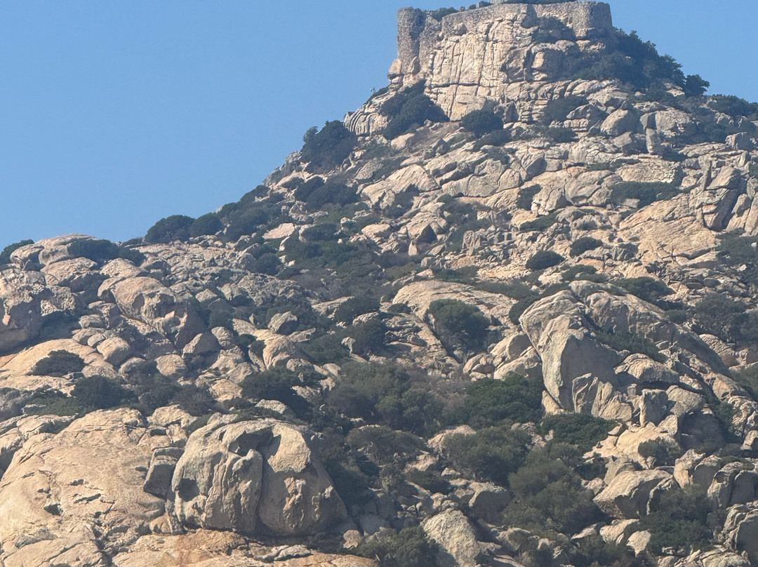 Wild Asinara Park-萨萨里省必去景点
