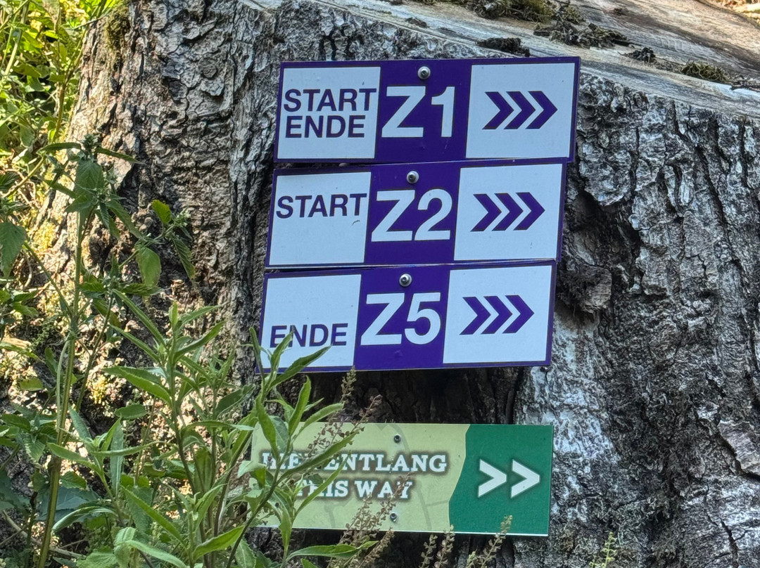 Hirschgrund - Zipline Area Schwarzwald-希尔塔赫必去景点
