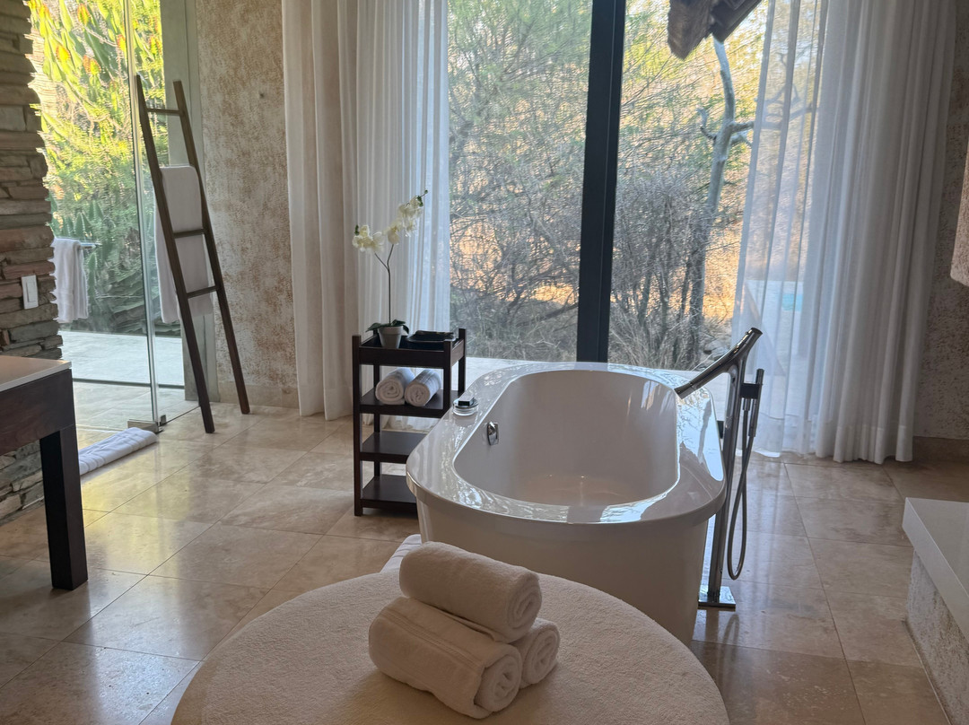 卡帕玛南营山林小屋主图