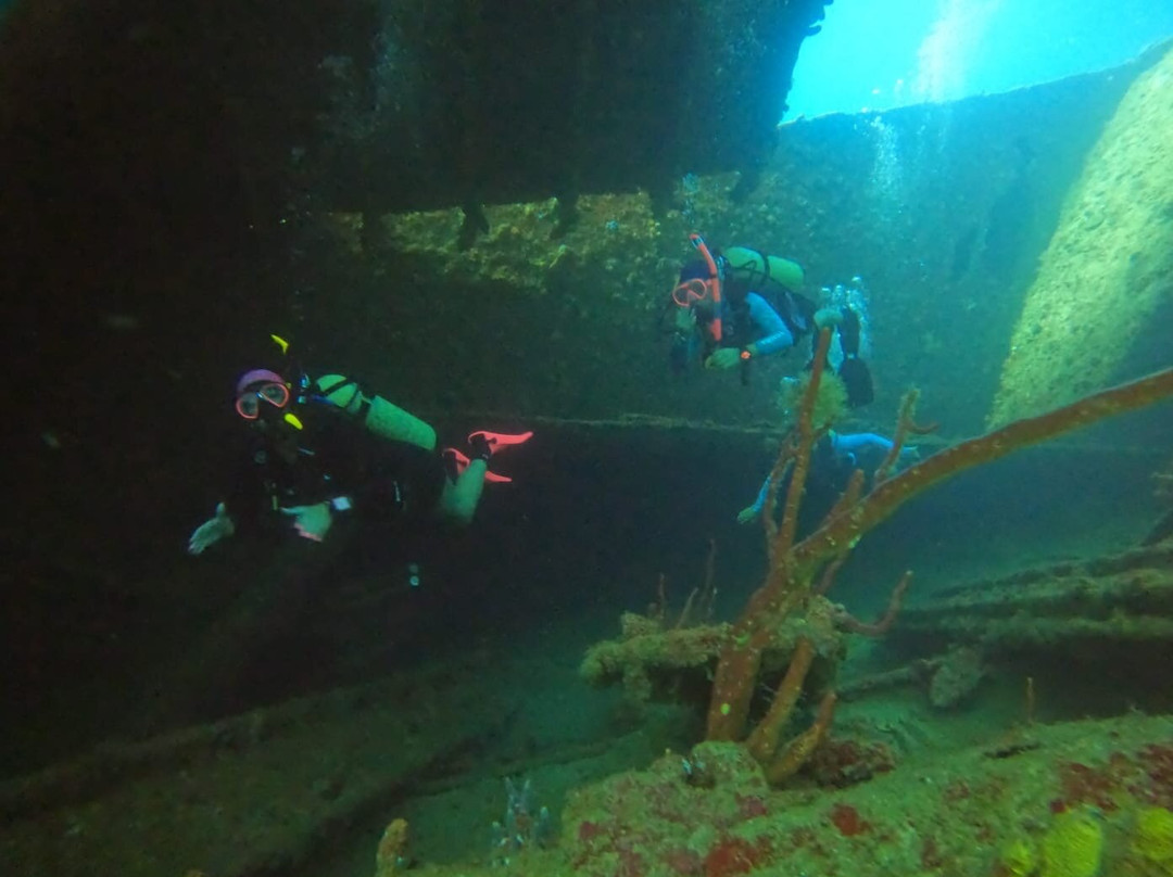 Aruba Premier Boat and Dive-奥腊涅斯塔德必去景点