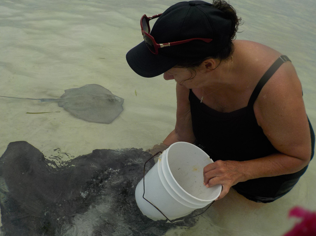 Spanish Wells SeaVentures Excursions | Harbour Island, Eleuthera, Bahamas Guide-Spanish Wells必去景点