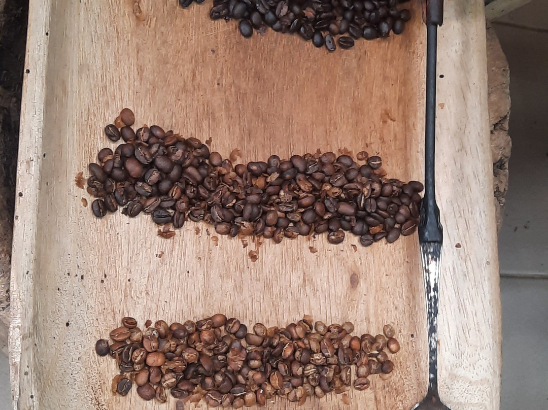 Cafetales Don Alfredo - La Milagrosa Coffee Tour-波魁特必去景点