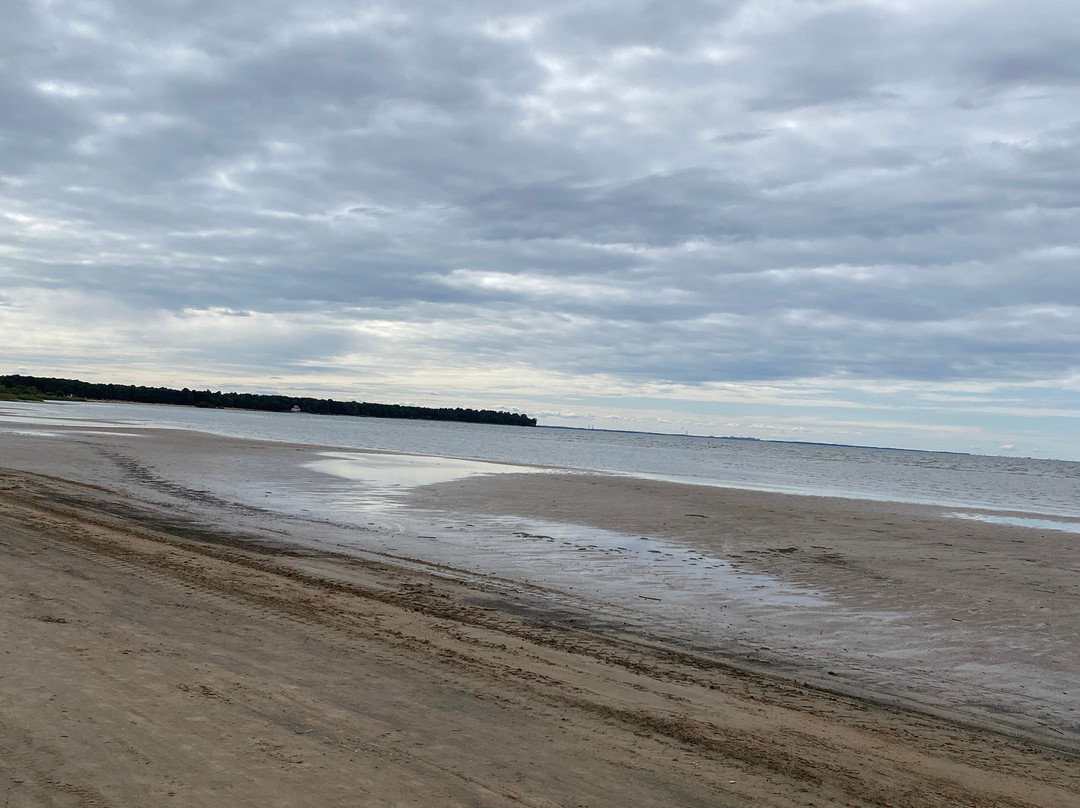 Dyuny Beach-Sestroretsk必去景点