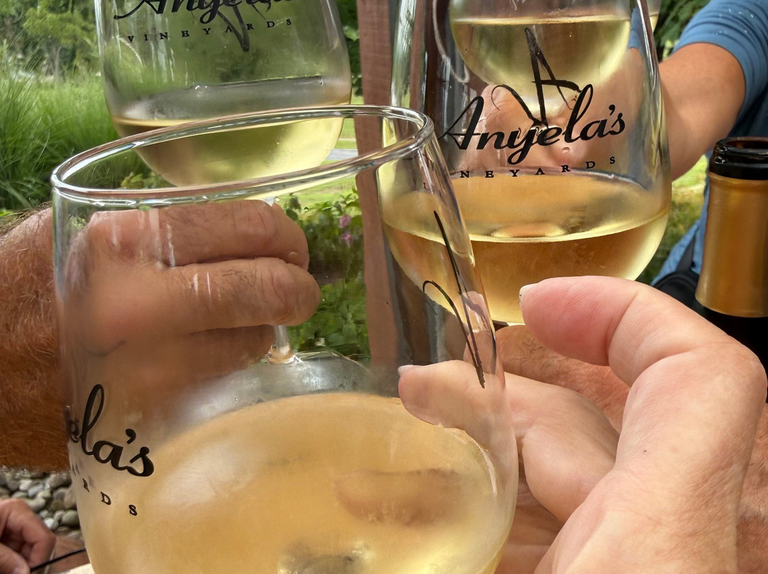 Anyela's Vineyards-Skaneateles必去景点