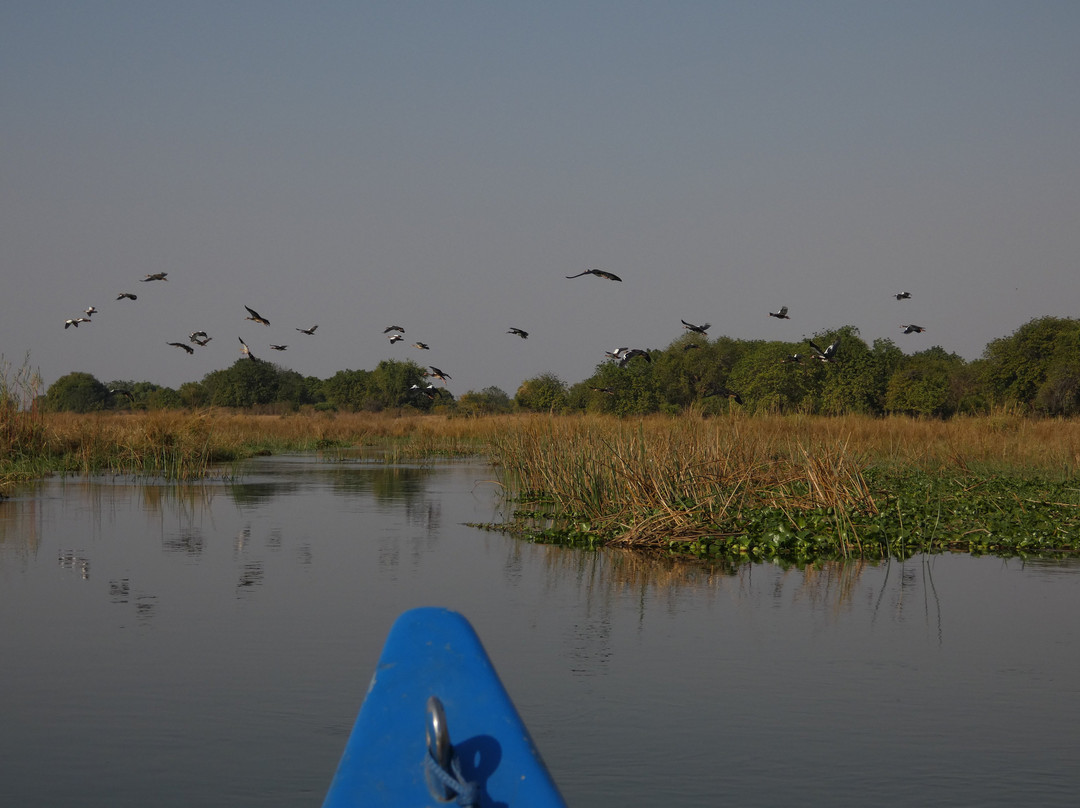 River Horse Safaris-Chirundu必去景点