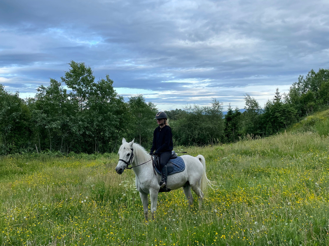Inderøy Adventure-Inderoy Municipality必去景点