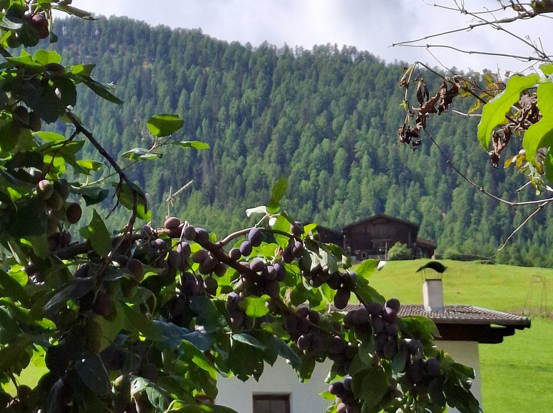 Carthusian Monastery Allerengelberg-Senales必去景点
