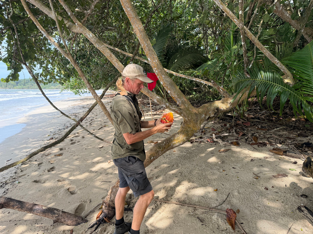 The Biologist from Cahuita-卡维塔必去景点