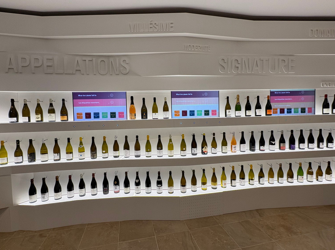 Cité des Climats et vins de Bourgogne-梅肯必去景点