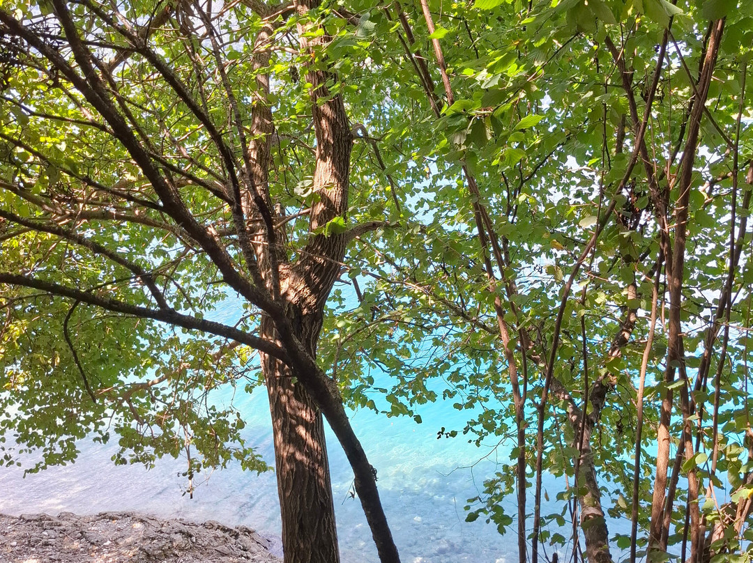 Lago di Ledro-莱德罗必去景点