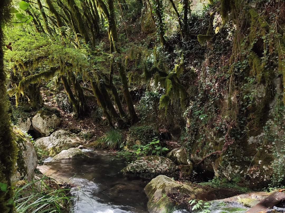 Oasi WWF Grotte del Bussento-Morigerati必去景点