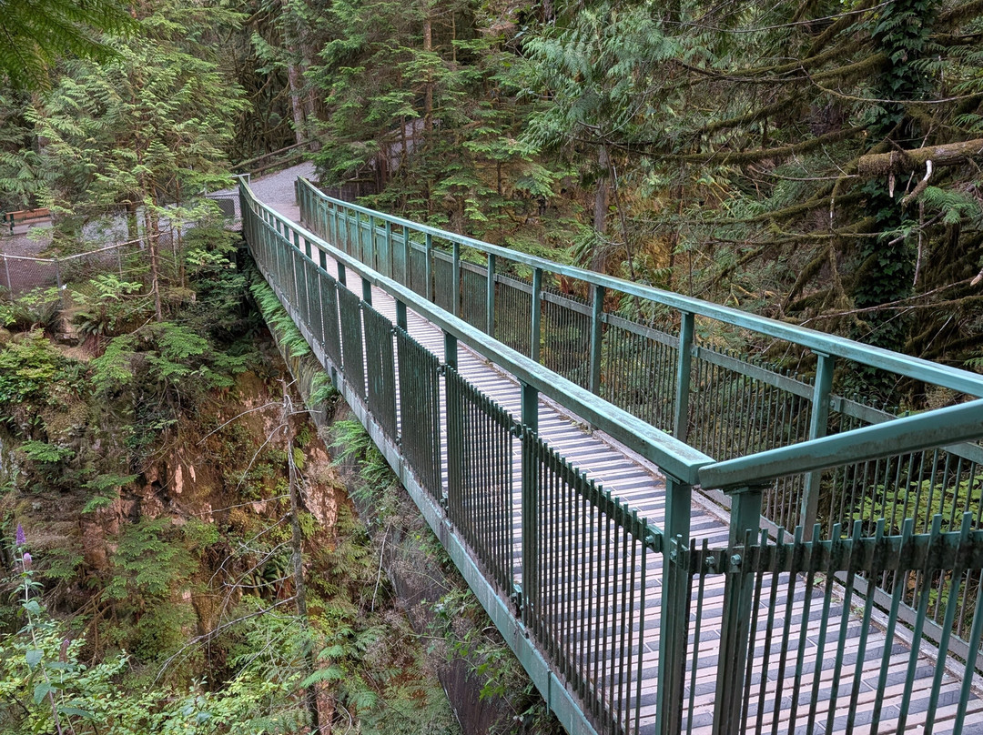Capilano River Regional Park-北温哥华必去景点