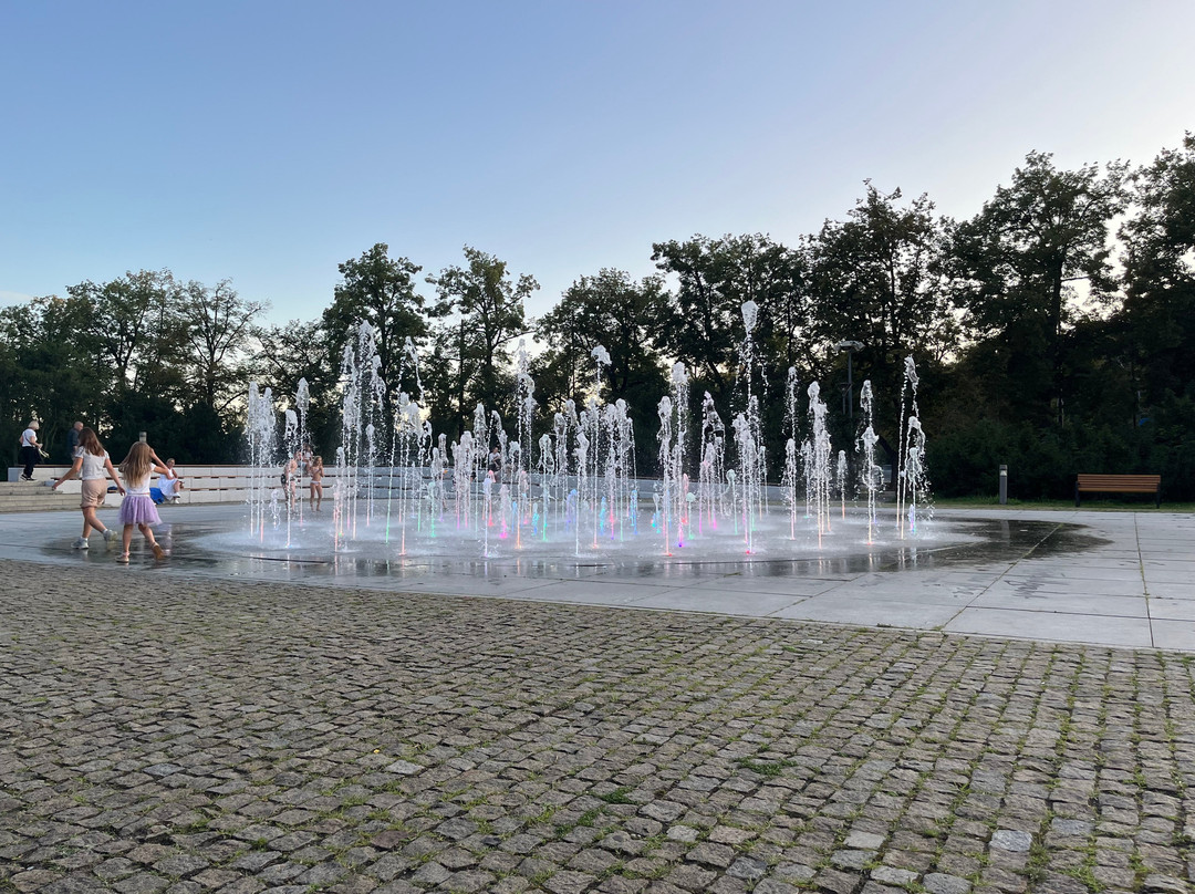 Cosmopolis Fountain-托伦古镇必去景点
