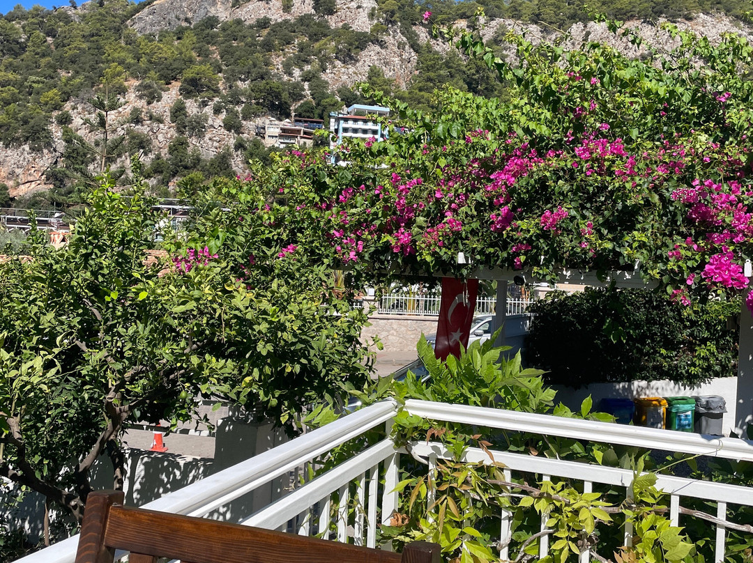 莫扎伊科酒店主图