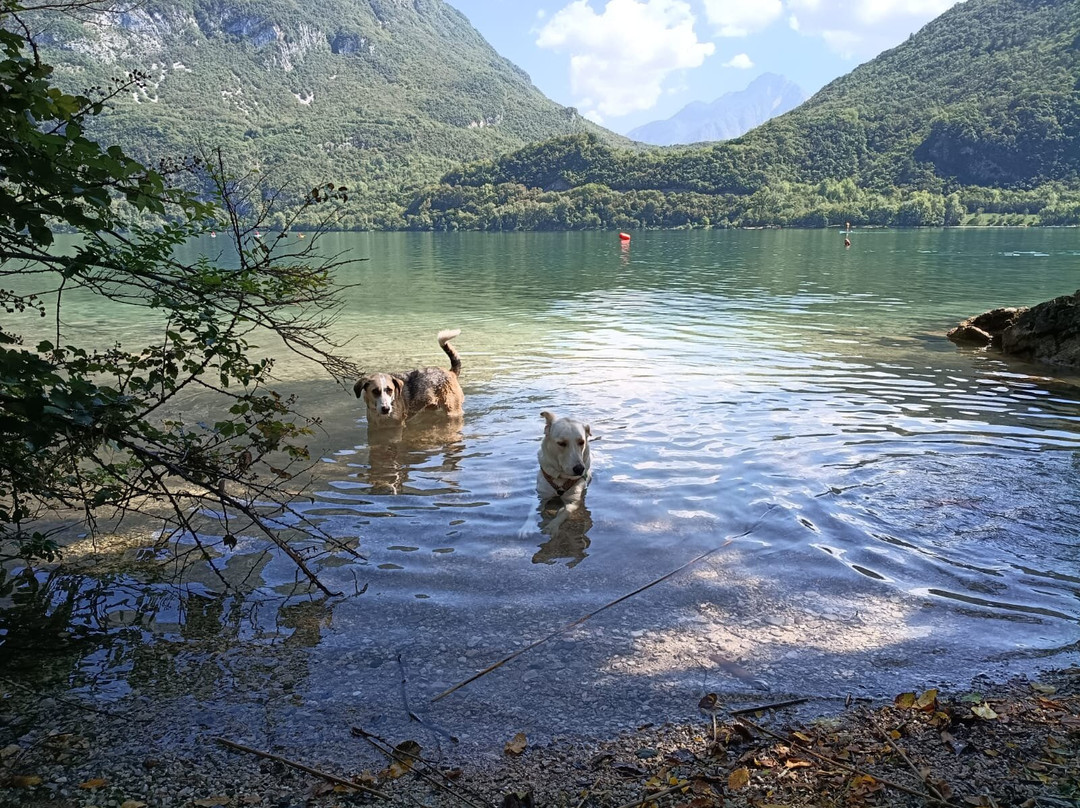 Lago Di Cavazzo-Cavazzo Carnico必去景点