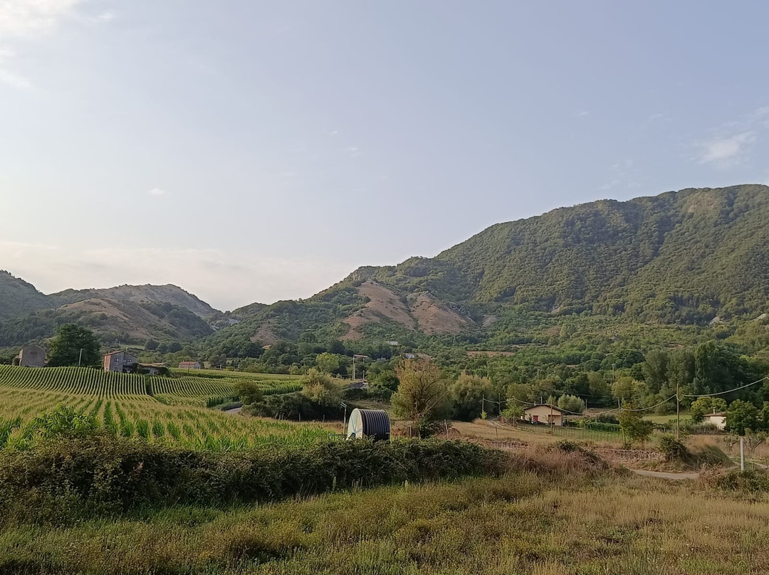 PapaVillage (chalets)主图