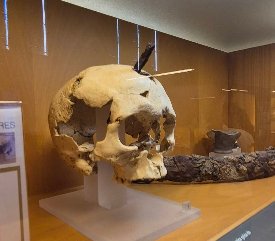 Museu d'Arqueologia de Catalunya - Ullastret-Ullastret必去景点