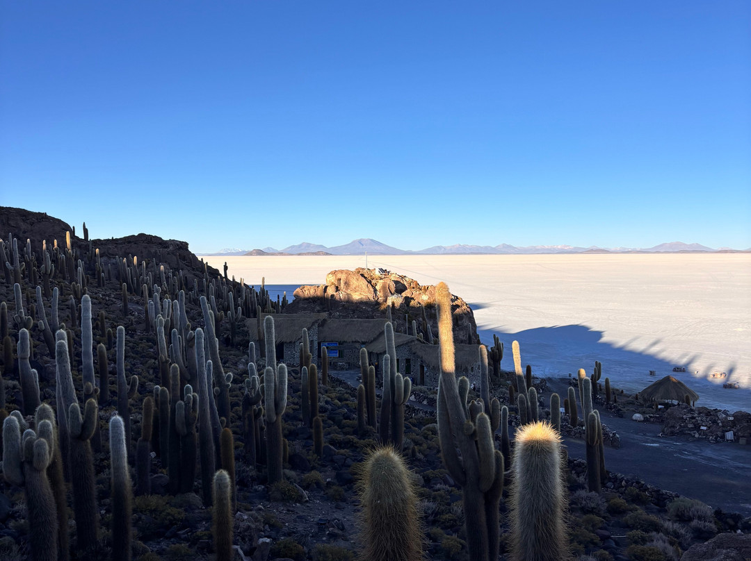 sajama expediciones-圣佩德罗-德阿塔卡马必去景点