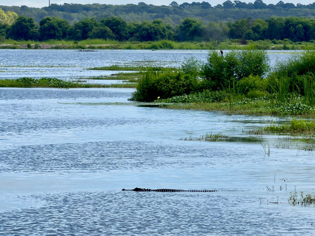Savannah National Wildlife Refuge-Hardeeville必去景点
