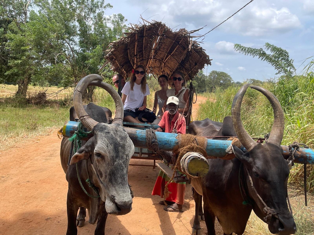 Srilankan Round Tours with Supun-加勒必去景点