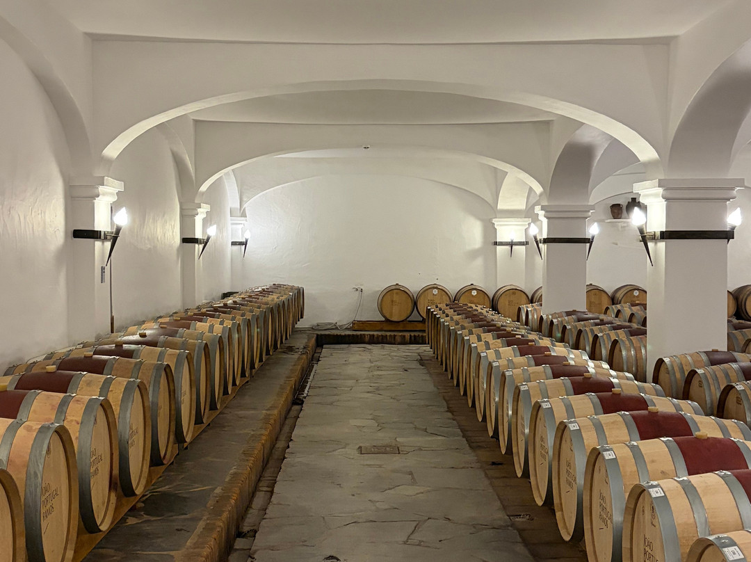 Joao Portugal Ramos Wines-Estremoz必去景点
